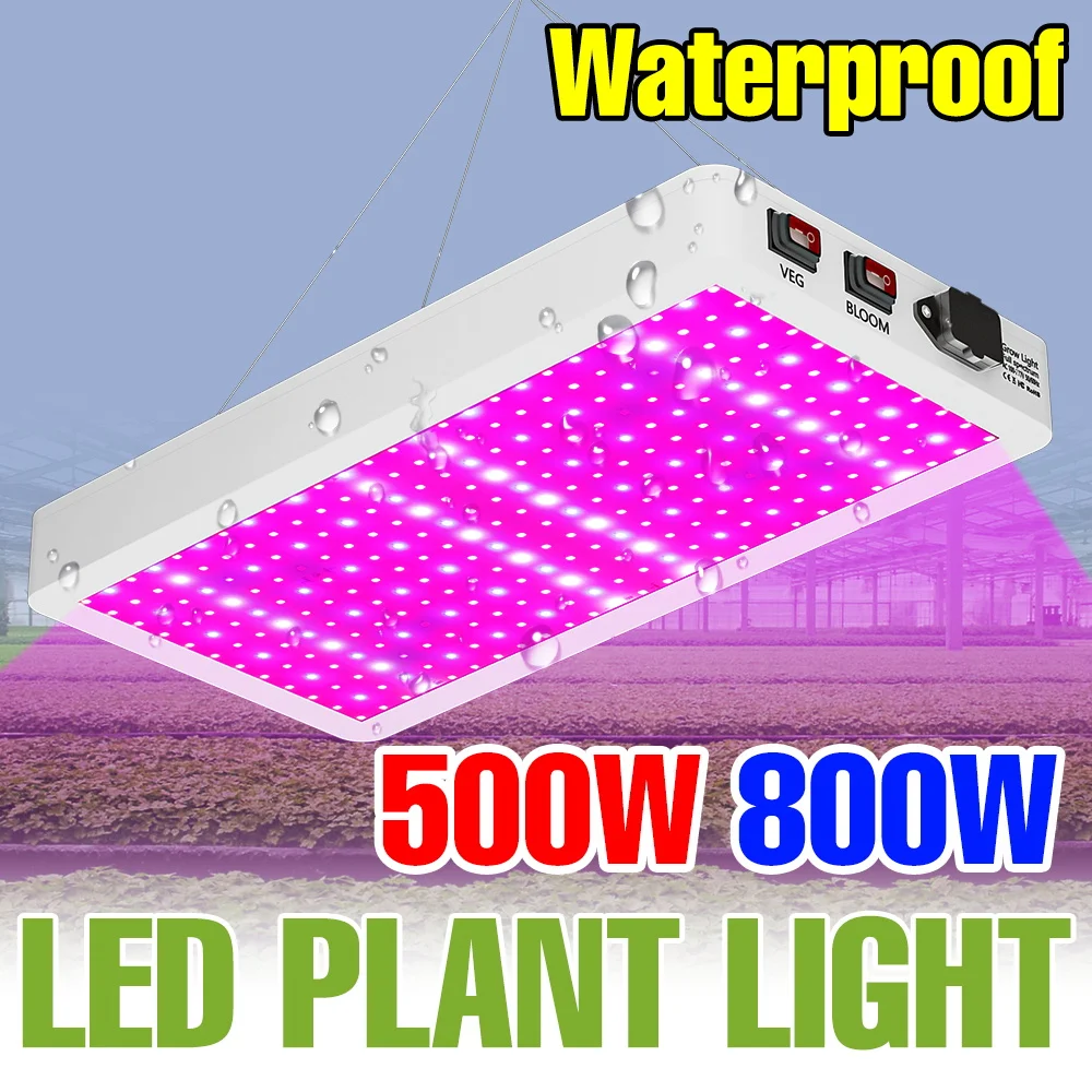 

800W LED Full Spectrum Grow Light 220V Hydroponics Plant Cultivation Lamp Greenhouse Growth Tent Fruit Flower Vegs Fill Lighting