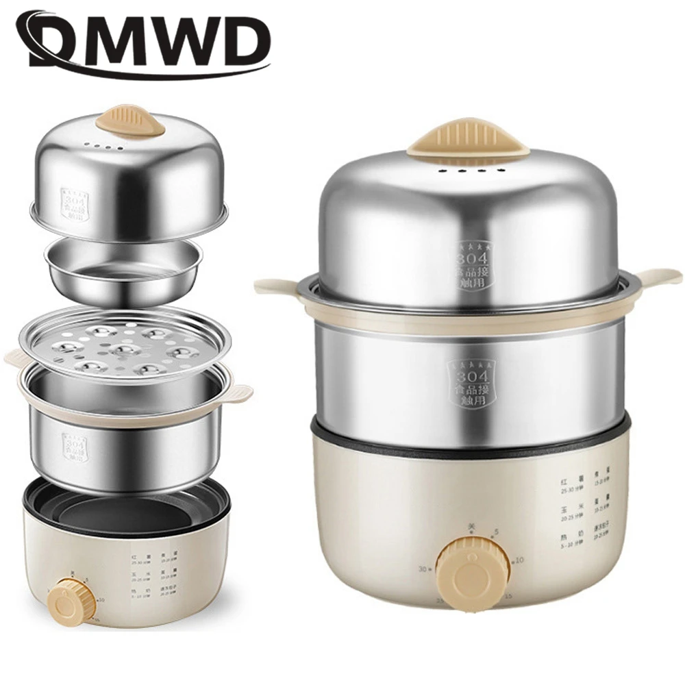 DMWD 2 Layer Multifunctional Egg Cooker Egg Custard Steamer 304 Stainless Steel Omelettes Machine Food Heater Crepe Maker 220V