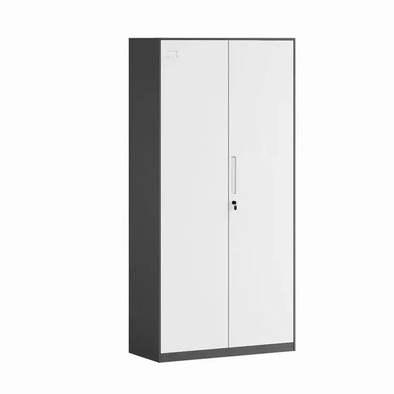 Cheap Metal Storage Locker for Office Gym Bedroom Dormitory 2 Doors Steel Storage Filing Locker Cabinet office furniture