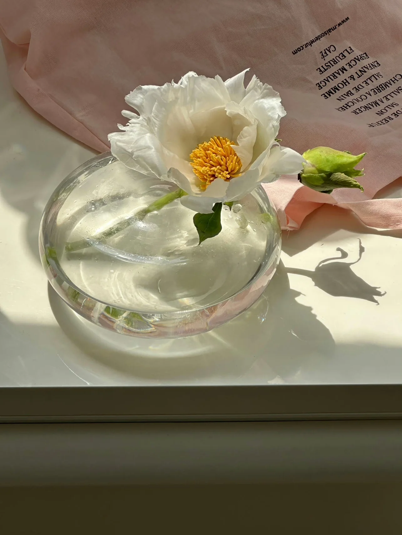 Florero de Vidrio Shinymomo, Transparente, en Forma de Bola, Estilo Japonés, Botella Redonda para Insertar Flores, Decoracion...