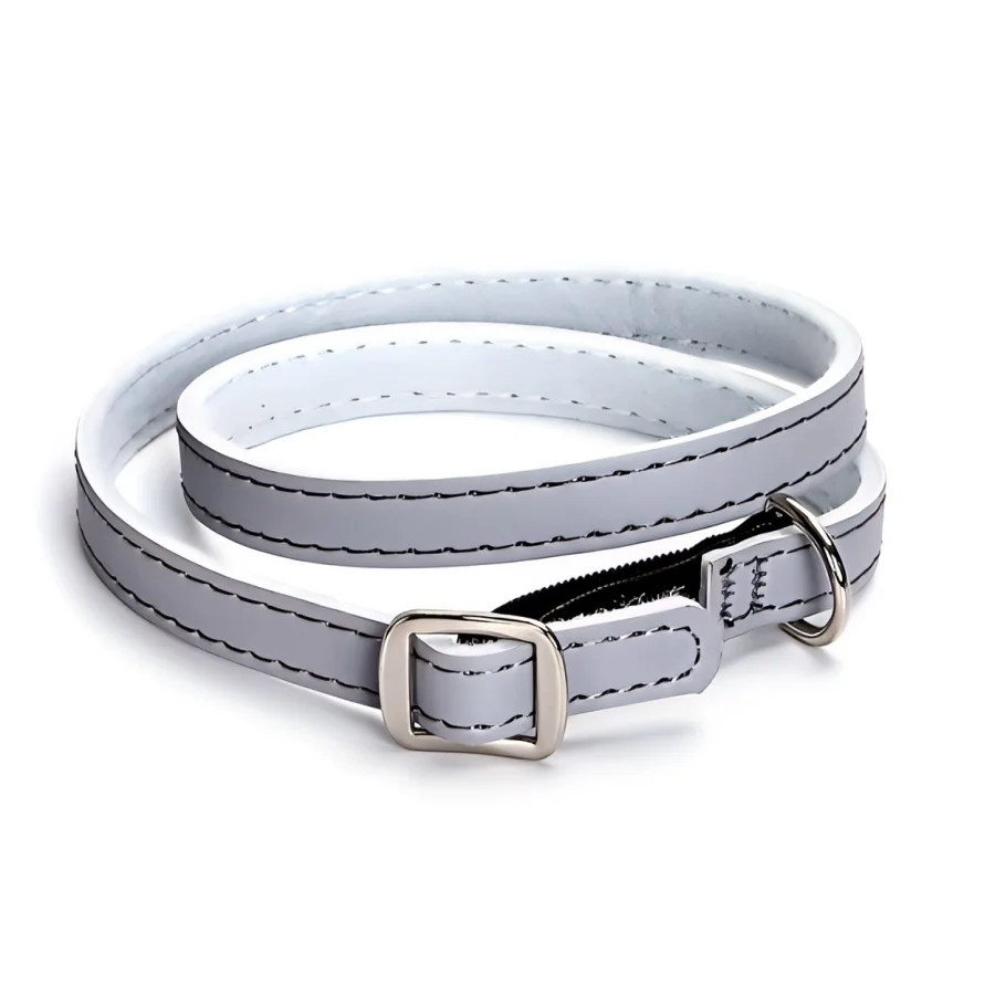 Collar antipulgas para perros