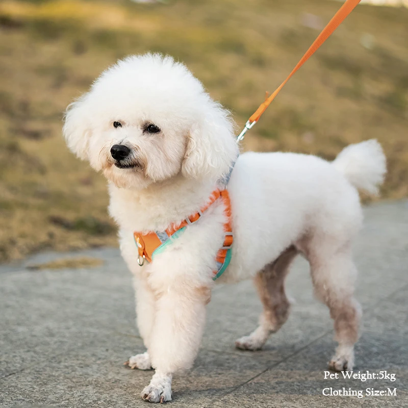 Pet Suede Chest Harness Vest Dog Strap Reflective Leash Retractable For Small Light And Convenientn image 4
