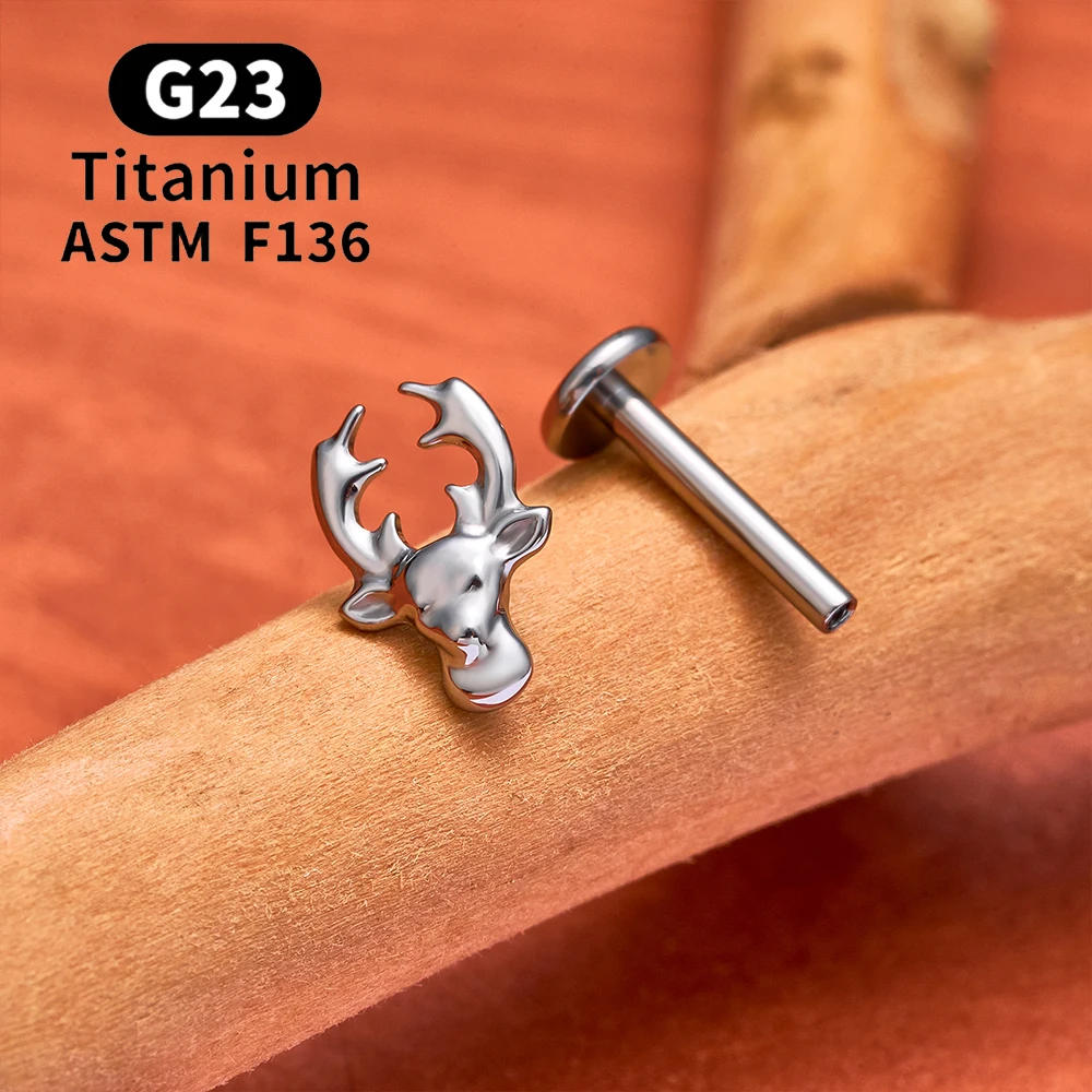 ASTM F136 التيتانيوم دولفين النسر أقراط 16 جرام موضوع داخلي الأذن مربط الغضروف الزنمة الفص محارة اللولب ثقب المجوهرات