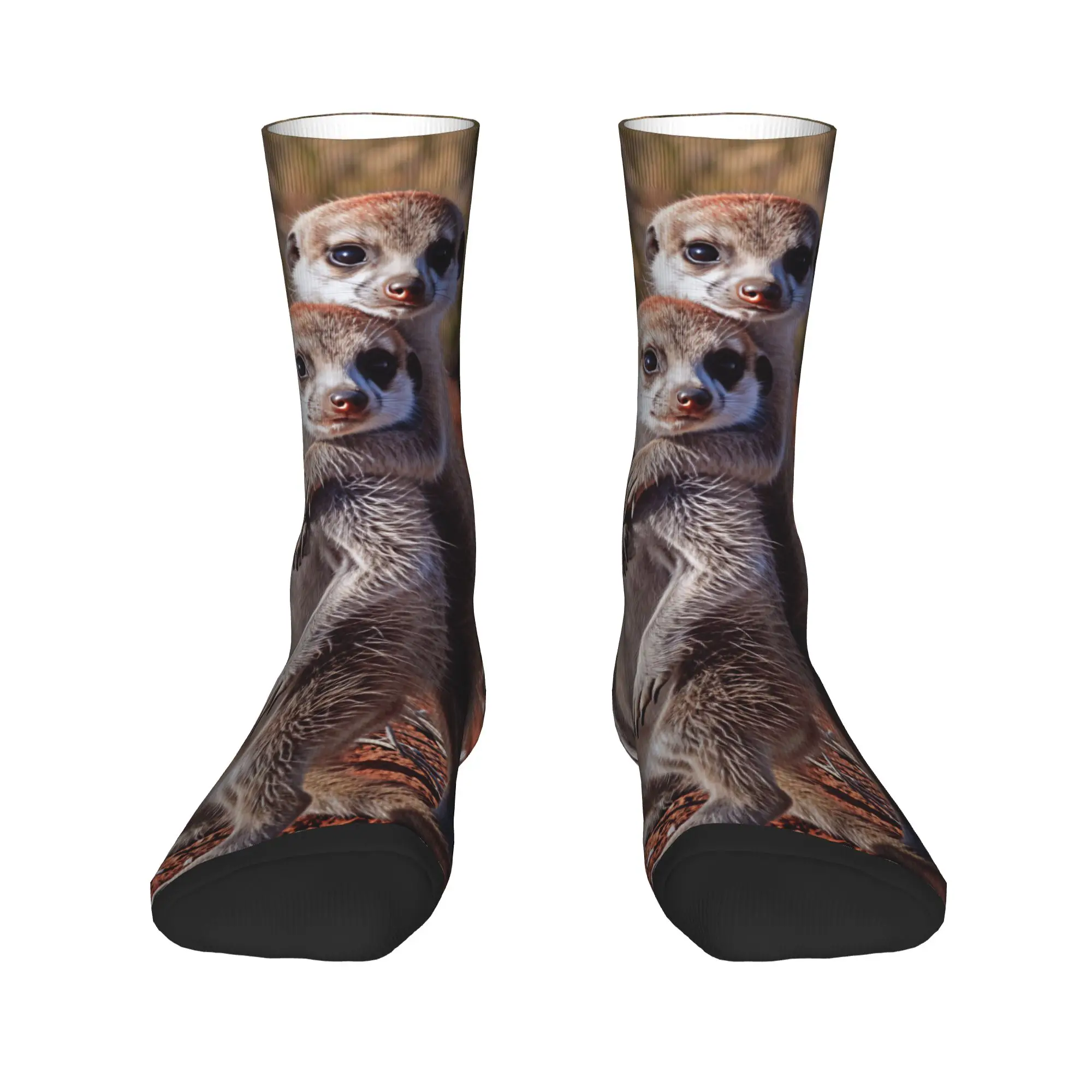 Two Baby Meerkats Hugging On Red Soil Socks  Non Slip Stockings Men's Soft Breathable Running Socks Spring Funny Graphic Socks