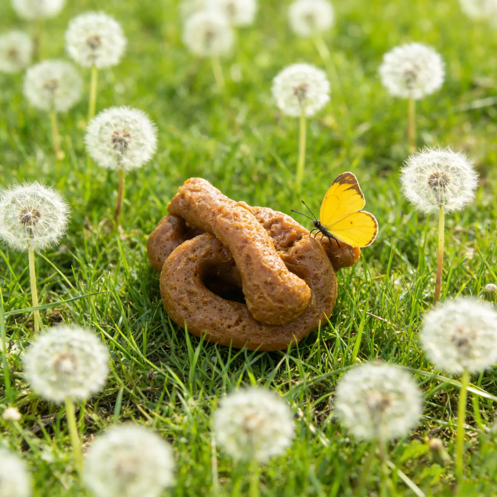 مجموعة واحدة من محاكاة براز واقعية مبتكرة، مادة TPR ناعمة بلون بني، أداة مزحة قابلة لإعادة الاستخدام للحمام والمكتب والحديقة، لعيد كذبة أبريل