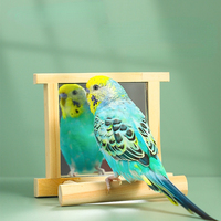 Bird Mirror Wooden Hanging Swing Interactive Play Toys for Small Parrot Budgies Macaw African Grey Parakeet Cockatiel Conure