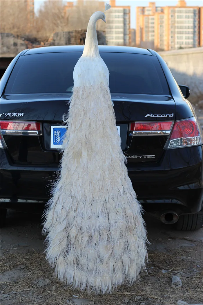 150cm Long Tail Peacock Model Realistic Foam And Feather White Peacock Bird Gift Large Size XF2801