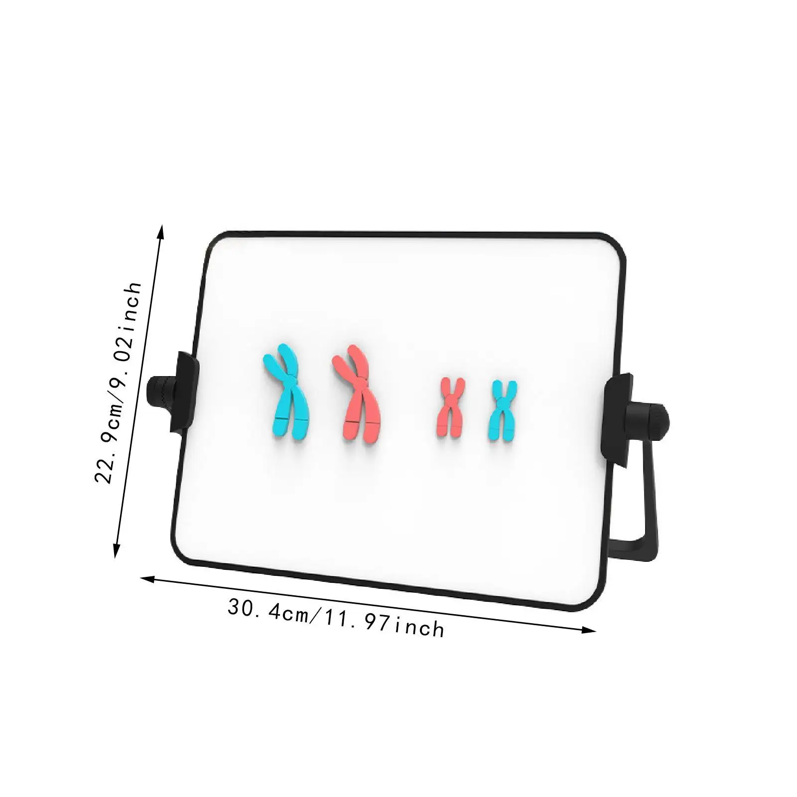 Meiosis Chromosom-Wechselmodellbausatz, biologische Wissenschaft, abnehmbares Demonstrationsinstrument, praktisches pädagogisches Lernwerkzeug
