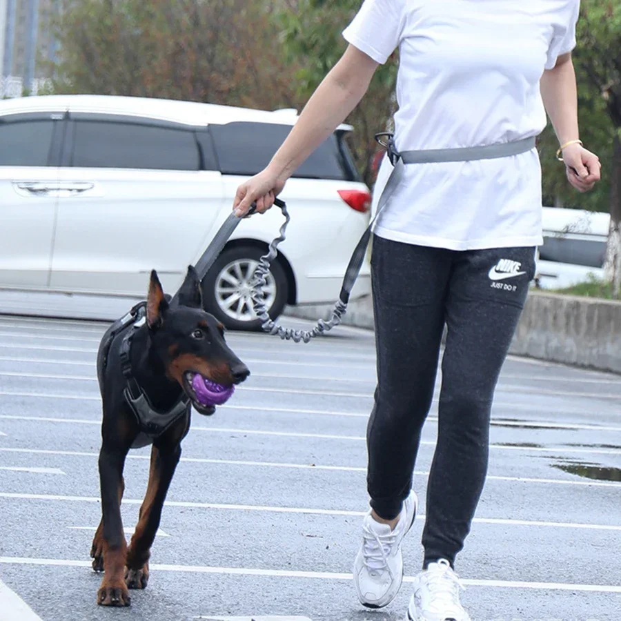 

Elastic buffering explosion-proof flushing multifunctional dog walking chain, dog traction rope, pet supplies, running rope