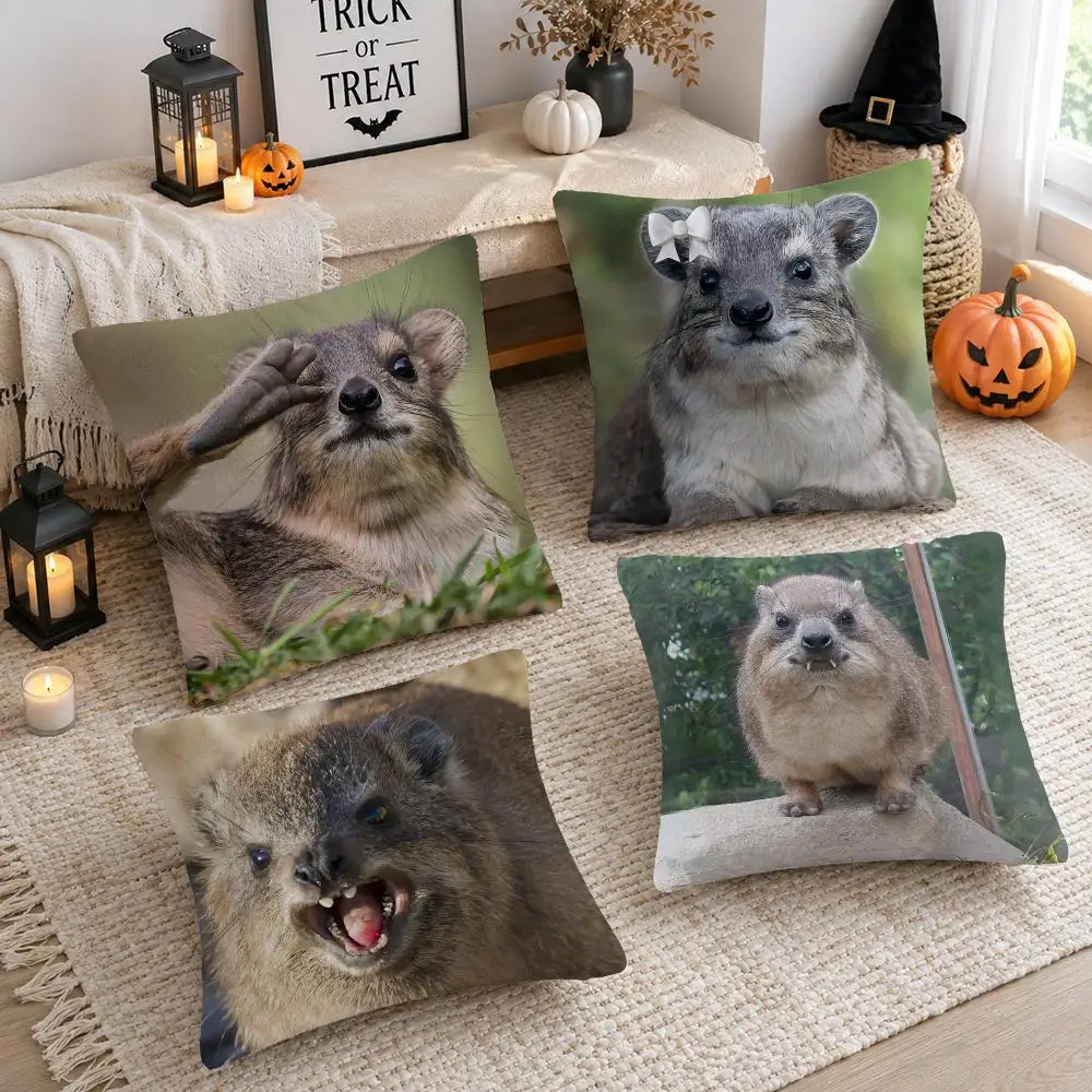 Animal R-Rock Hyrax Cushion Cover Soft Plush Cushion Case Throw Pillowcase Cozy Home Sofa Bed Living Room Decor