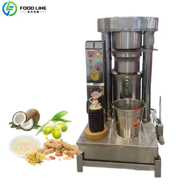 Customized Hydraulic Oil Press Machine Easy Operation Oil Extractor for Peanut Sesame Olive Coconut Processing