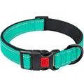 Pet collar green