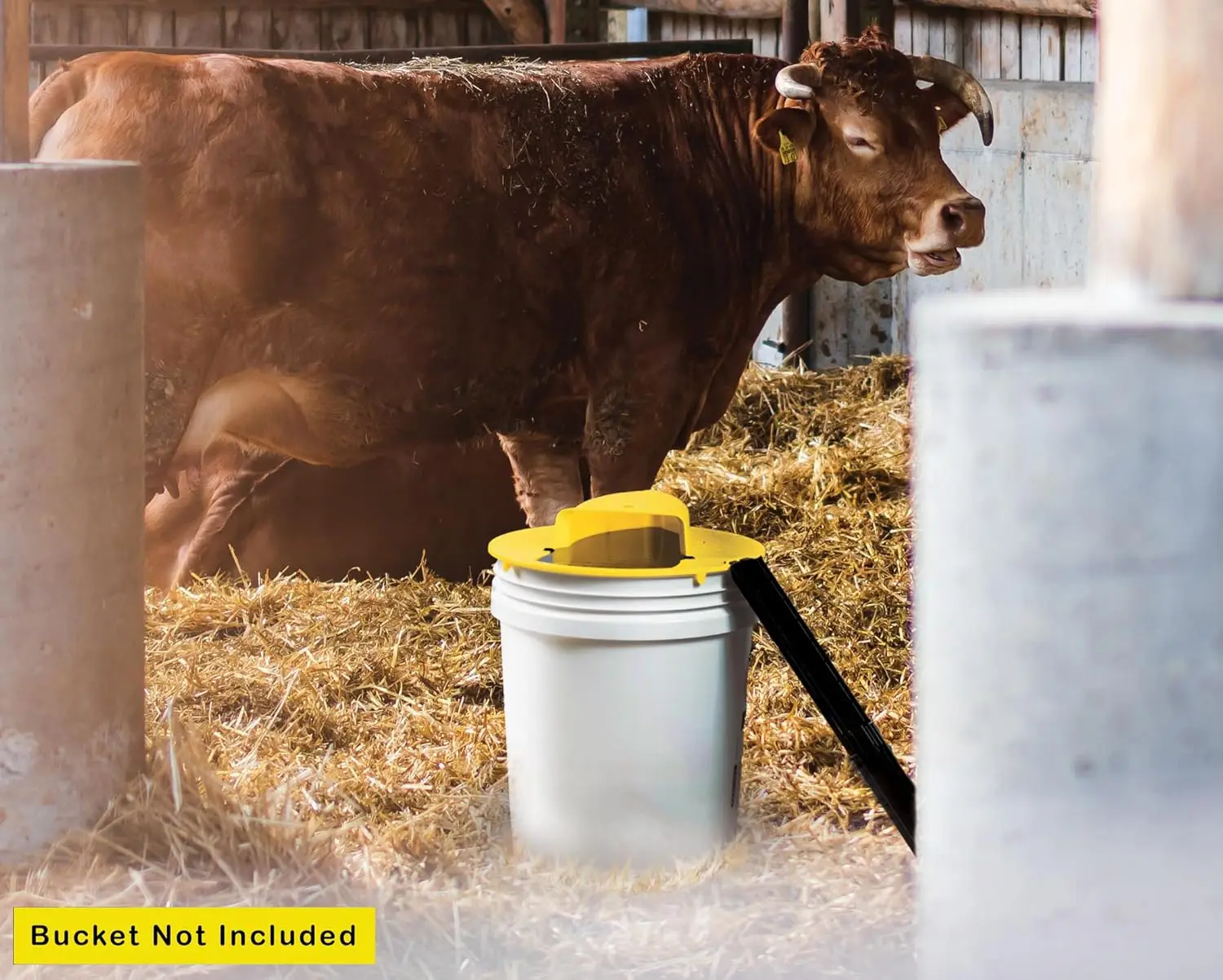 5 جالون دلو بغطاء قلاب مصيدة فئران للتحكم في الفئران البشرية لحظيرة الدجاج في الفناء الداخلي والخارجي