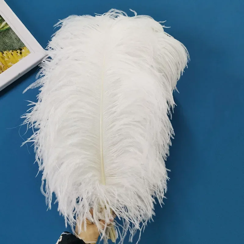 20pcs/lot Fluffy Big White Ostrich Feather Wedding Home Decoration 65-70cm Ostrich Plumes Table Centerpiece Crafts