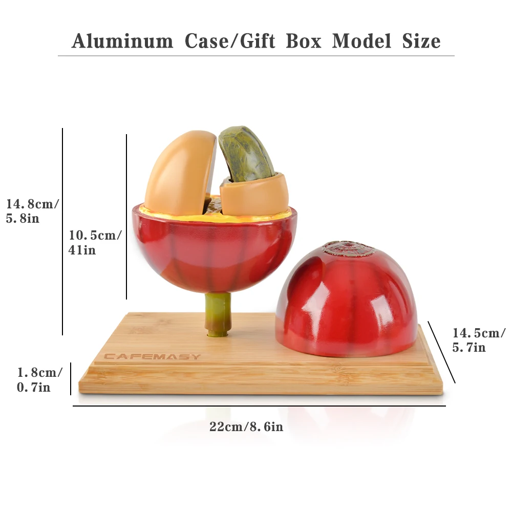 Cafemasy Kunstmatige Koffieboon Afneembare Koffieboon Onderwijs Model Koffie Kersenhars Bonen Bamboe Basis Voor Koffiebar Decor