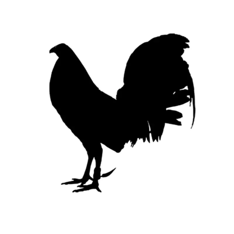 15cm*13cm Car Sticker Funny Animal Cockfighting Rooster Vinyl Sticker Bumper Rear Window Body Decoration Decorative Accessories