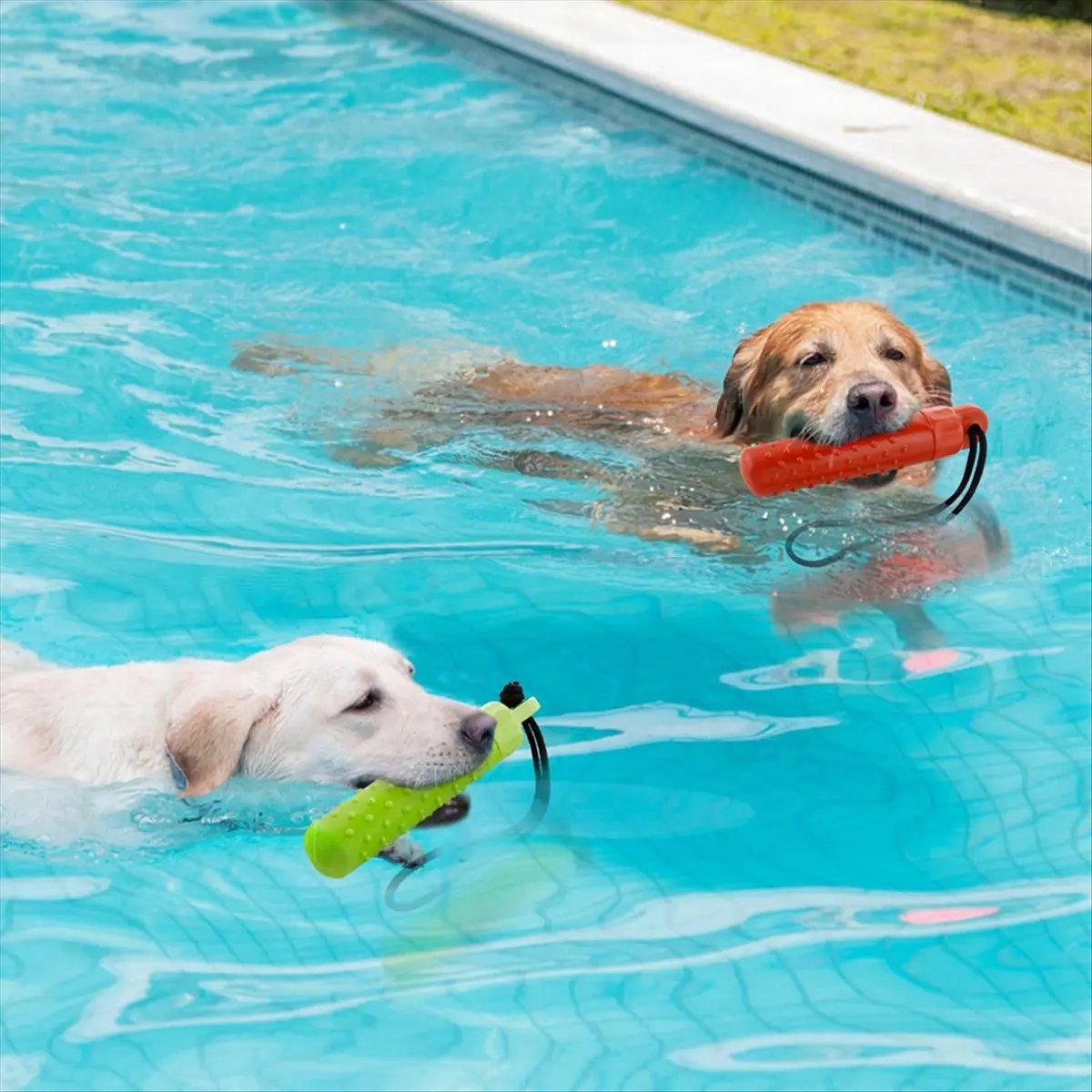A45I Dog Interactive Toys, Dog Water Toys, Bumper Chew Toys with Rope, Suitable for Summer Dog Outdoor Training and Playing A