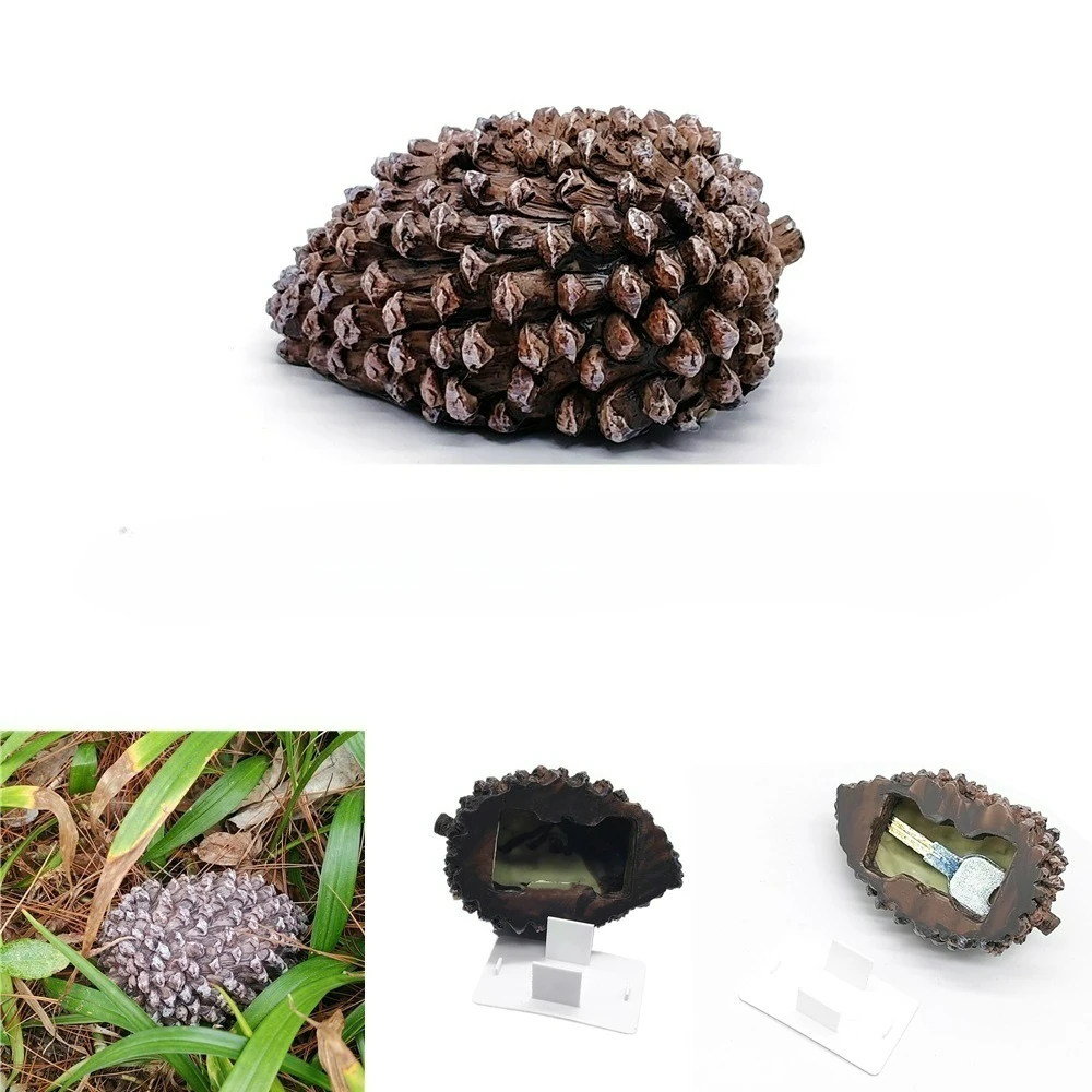 Creative Resin 1:1 Pinecone Key Box - Anti-Lost Hidden Money Secure Storage Organizer Discreet Safe Container
