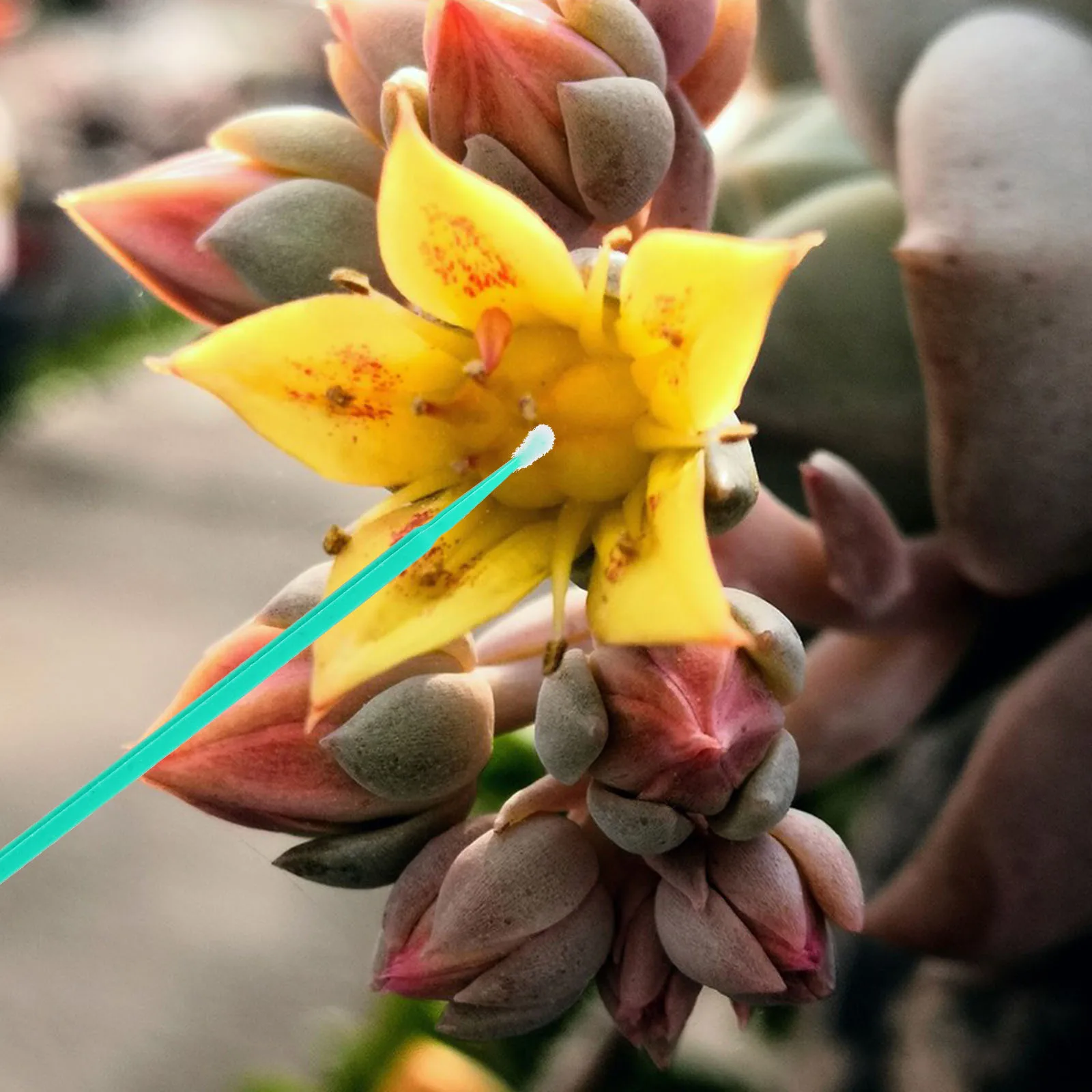 

100pcs Pollen Chalk Pen Yellow Disposable Plastic Hand Pollination Tool for Fruit Vegetable Flower Gardening Yard Self Pollen