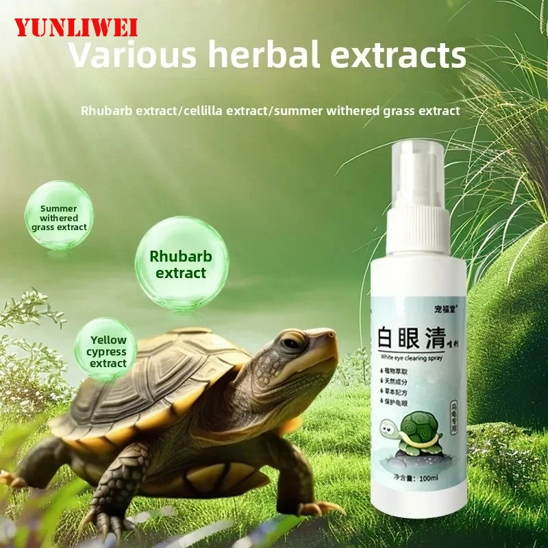 Turtle White Eye Re… - image