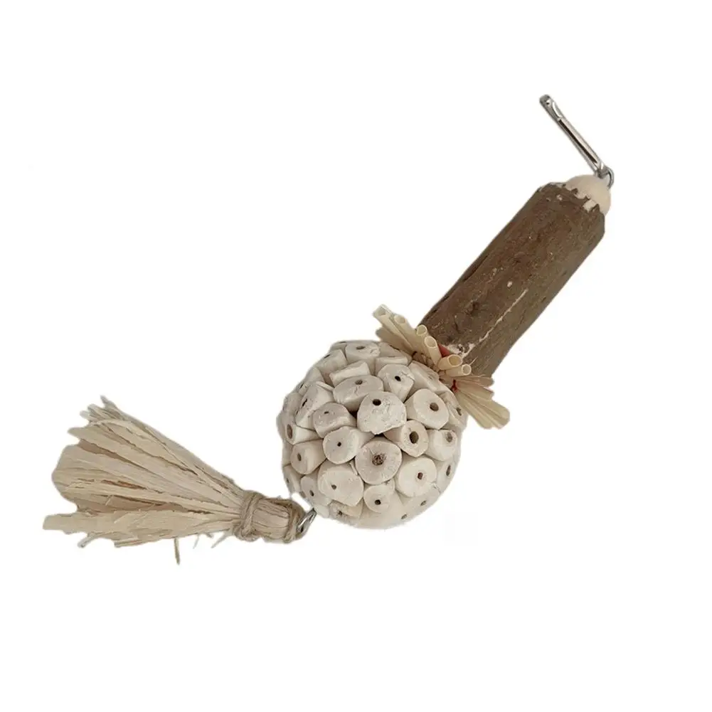 Bird Toys Parrot Foraging Hanging Toys Sola Balls With Corn Husk Tassels For Parrots Conures Hamsters Chinchillas