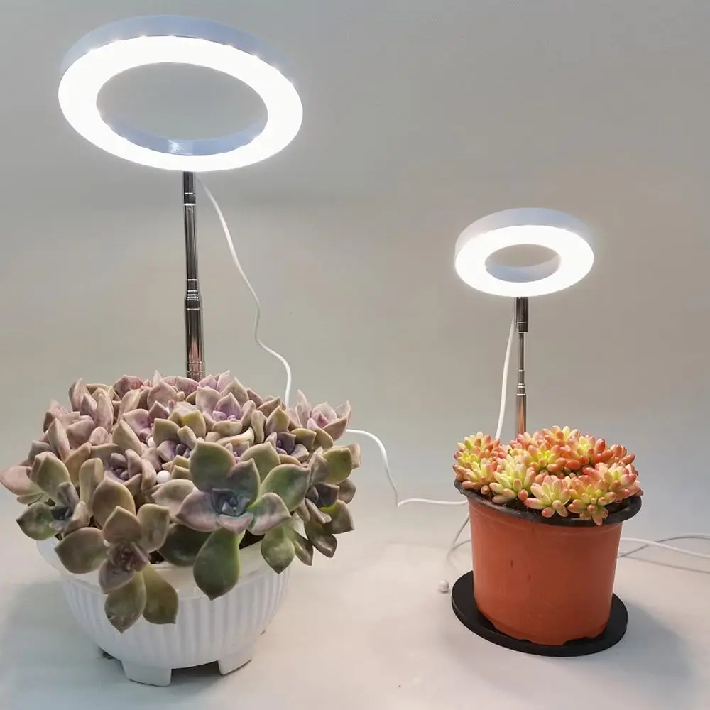 Indoor Plant Growing Lights Full Spectrum Grow Light 5 Dimmable Levels Super Bright Halo Grow Lights with Automatic Timer