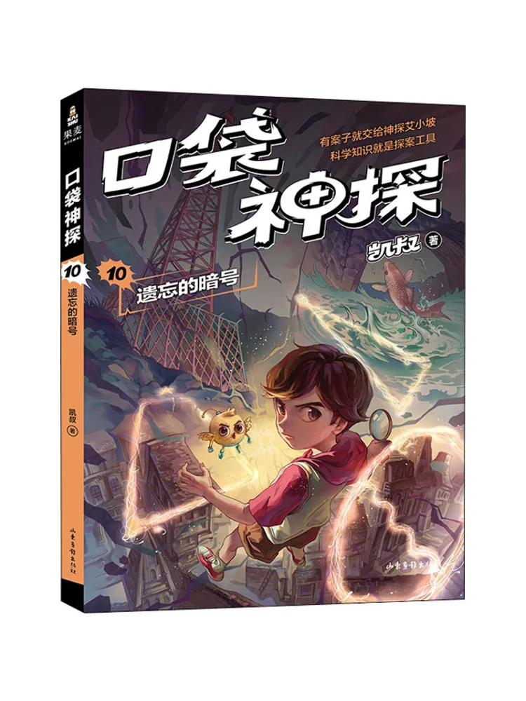 

Book-Winshare Flap Pocket Pants Detective 10 the Forgotten Code