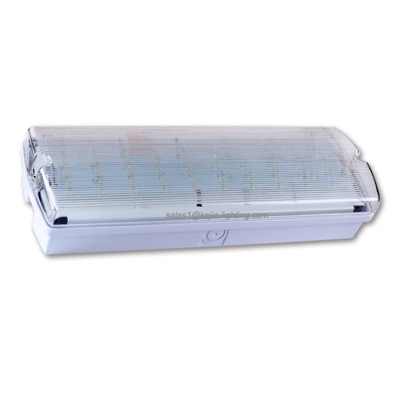 Emergency Light Builtin Lighting Battery Tri-Proof Led Bulkhead Lights Supermarket Shop School Public Locations Ip65 AC 90-285V