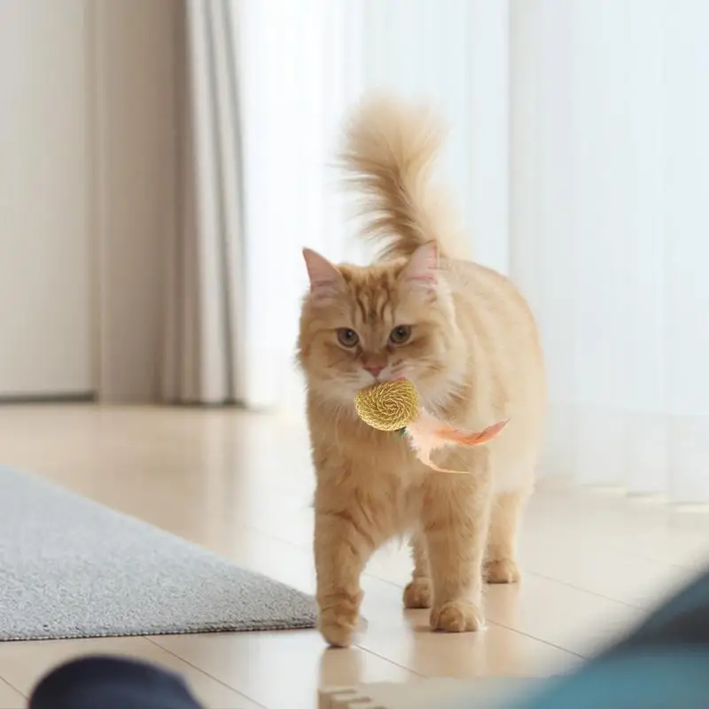 Cat Feather Ball Toy Soft Cat Toy Funny Cat Ball Cat Teaser Toy Kitten Teething Toy Cat Feather Toy For Cat Teasing Hunting