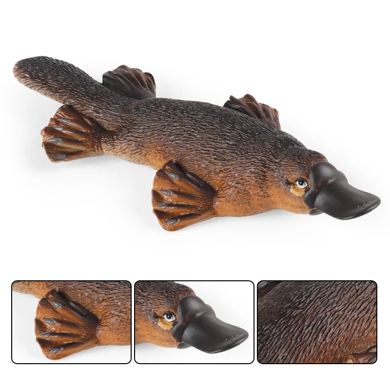 Oenux Prähistorische Wilde Tiere Simulation Gürteltier Doedicurus Sabretooth Modell Action-figuren PVC Sammlung Spielzeug Für Kind Geschenk – Detail 12