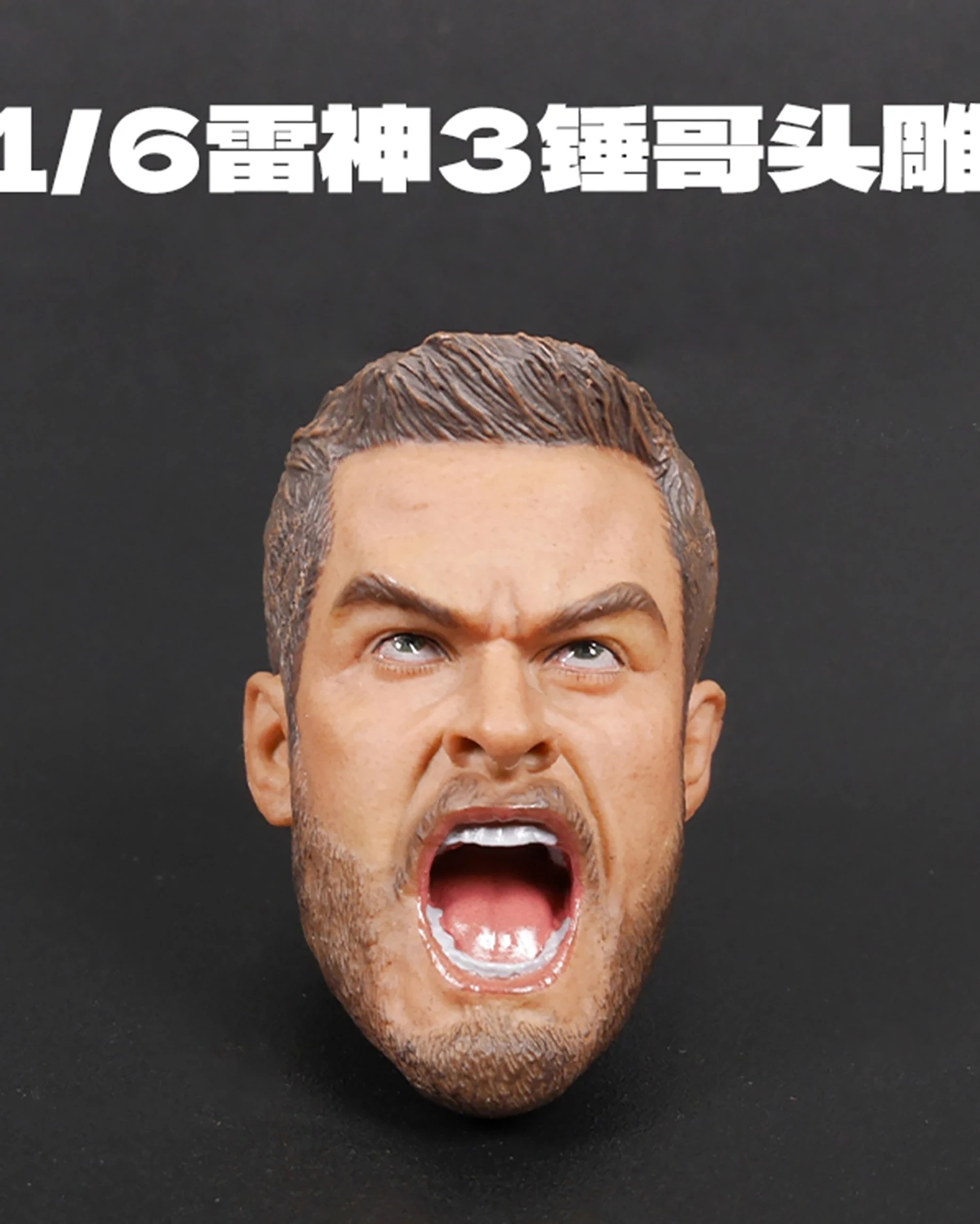 

1/6 Scale Roar Odinson Head Carving Sculpt Model Toys