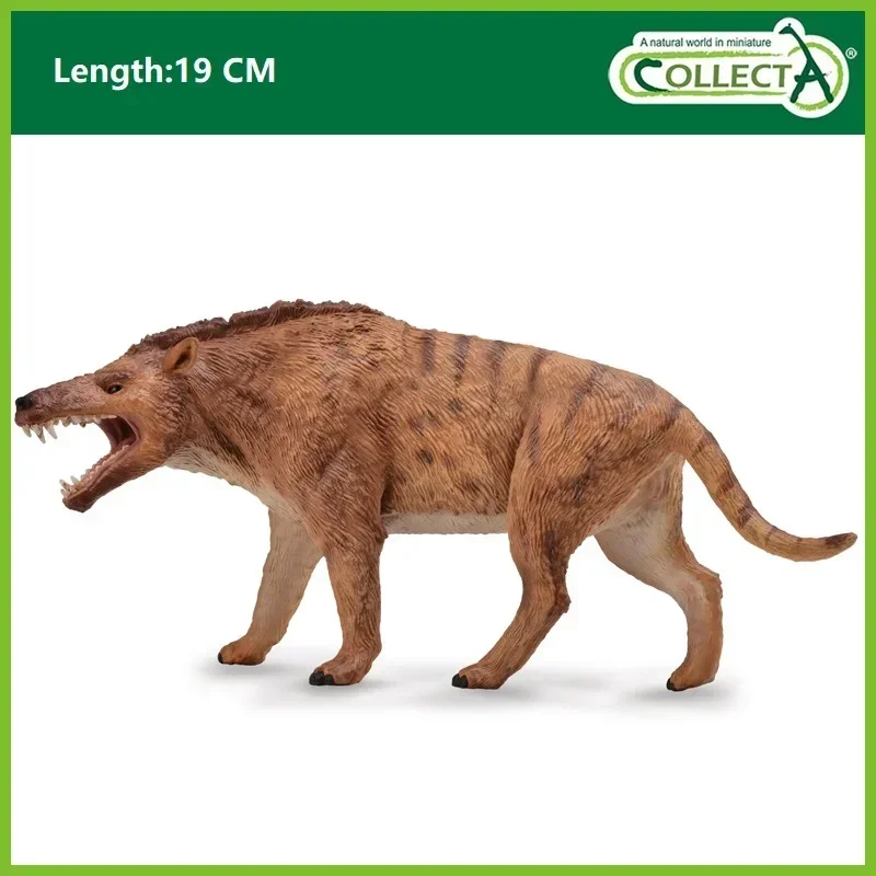 Collezione andrew wsarchus Deluxe 1:20 scala giocattoli classici modello animale figura 88772