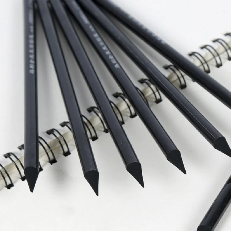 Professional Drawing Sketching Charcoal Pencil Sketch Graphites Sticks Art Supplies