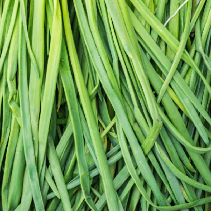 Legierung Roboter DIY Auto Chassis DIY Auto Roboter mit TT Motor Set 1 Schicht RC Tank Chassis Baustein Motor 3-9v Crawler Smart