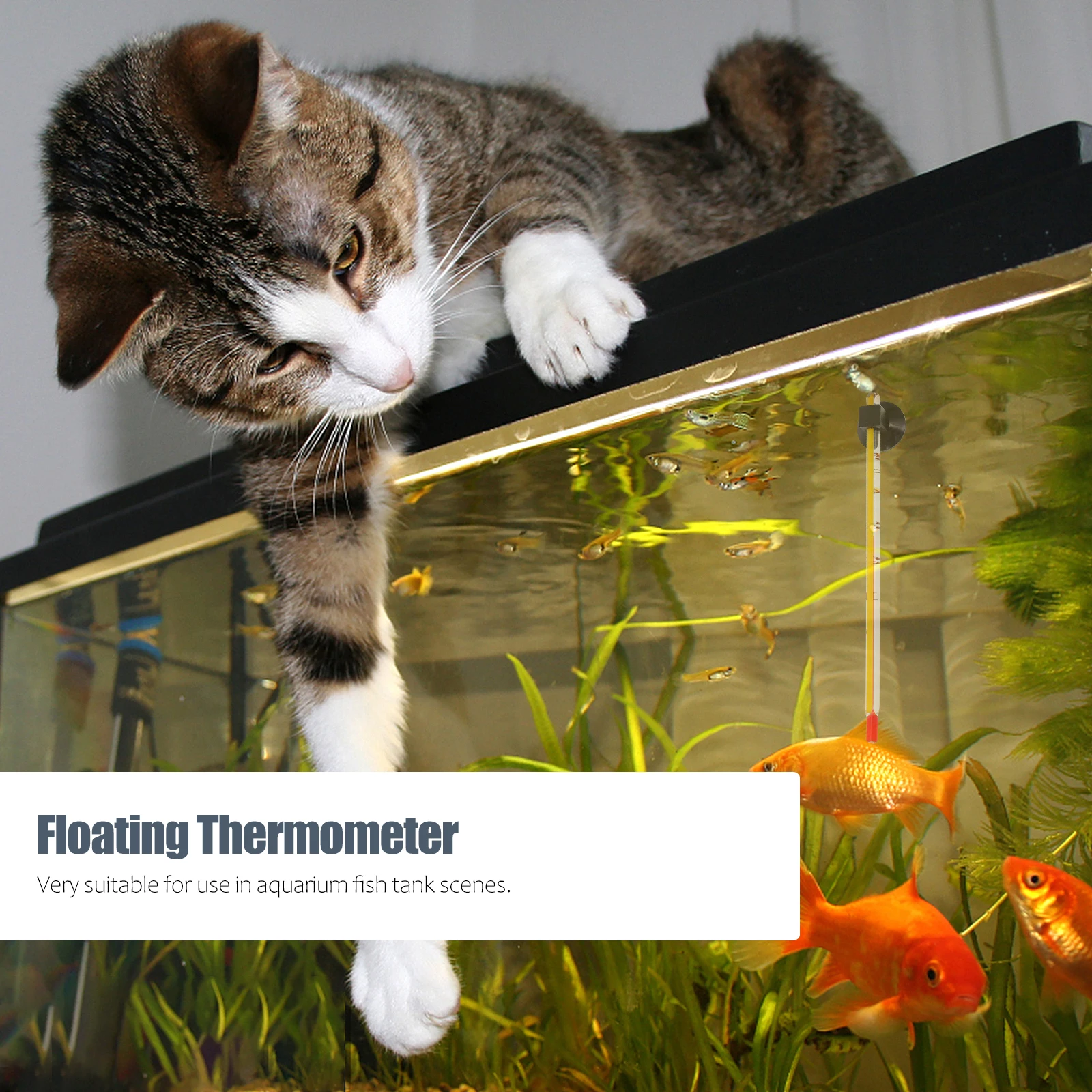 

4Pcs Fish Tank Thermometer Small Floating Aquarium Water Temperature Gauge Suction Cup Heat Resistant