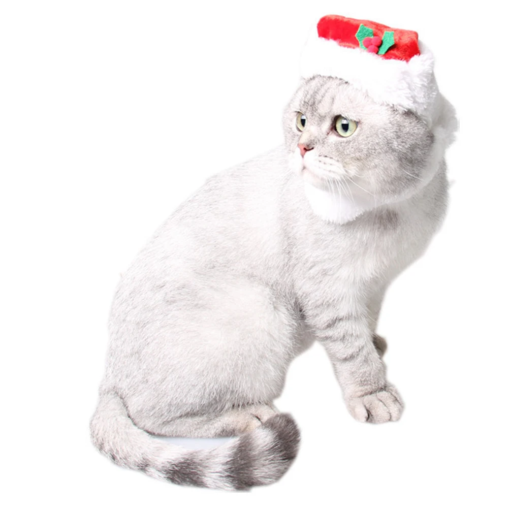

BUGUUYO Christmas Pet Hat Dog Santa Costume Beard Xmas Puppy Cosplay Accessory