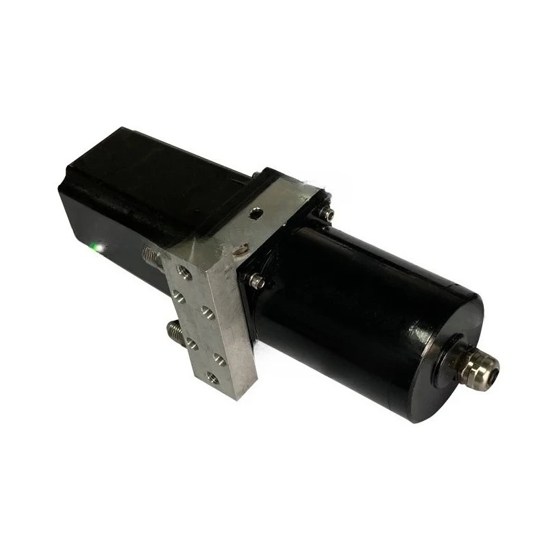 300W HS04-350 Electric Hydraulic Station Small Double Acting Hydraulic Station DC12V/24V/48V AC220V