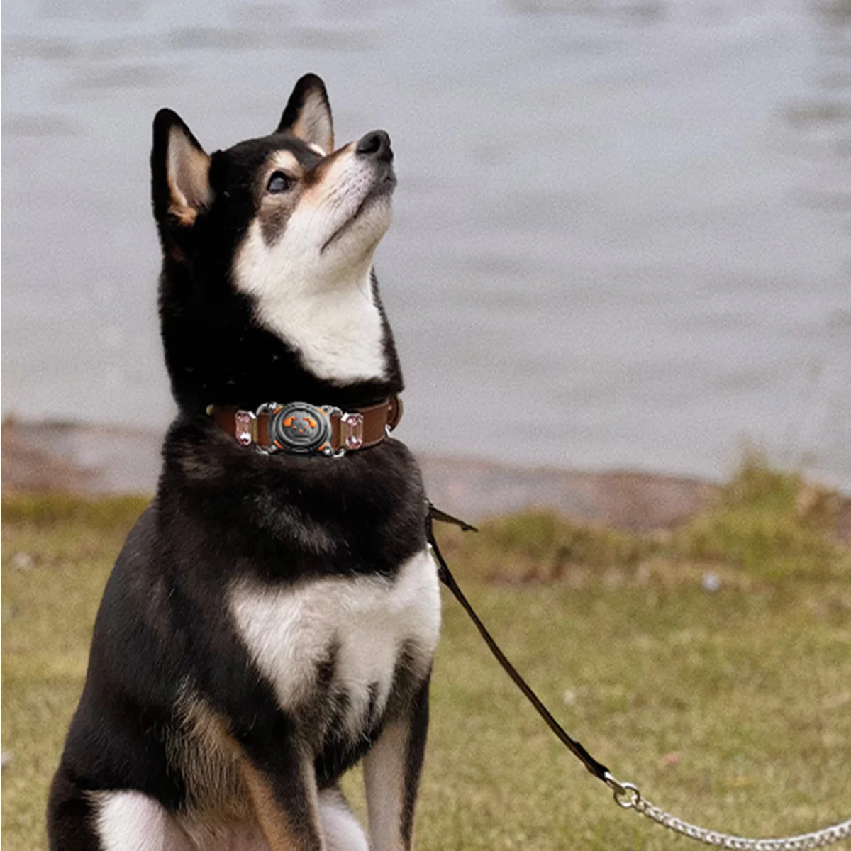 ที่ยึด AirTag สำหรับปลอกคอสุนัข ปลอกคอ AirTag สำหรับสุนัข พร้อมห่วงโลหะแบบถอดได้ เหมาะสำหรับปลอกคอกว้าง 1.2 นิ้ว สำหรับเคส Apple AirTag