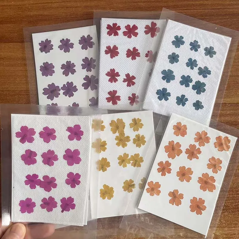 24, 48, 72 piezas/2-3 cm, pétalos de flores secas naturales pequeños, verbena de jardín prensada y teñida para manualidades con resina epoxi, joyería, uñas