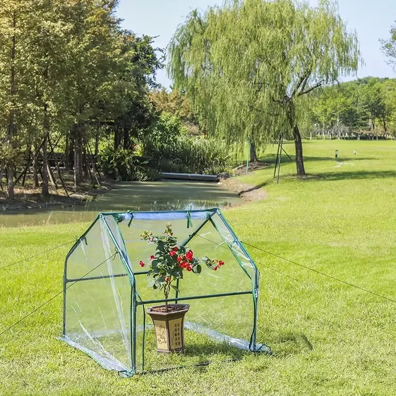 Portable Mini Steel Greenhouse Plant House with UV Protection and Eco-Friendly Design for Home and Garden Use