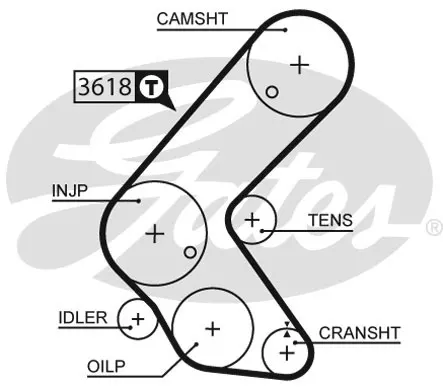 

Store code: 5563XS for timing belt (131 × ×) ASTRA G H J COMBO CORSA C 1.7DTI 16V ZAFIRA 06 CT1014