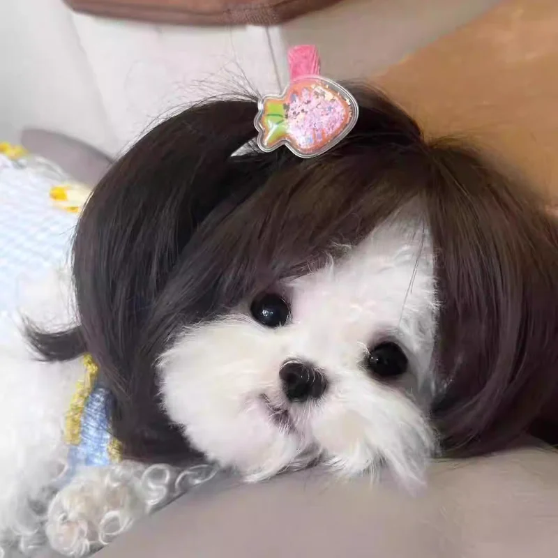 Pet Wig Cat Wig Cosplay Props Curly Hair Straight Hair Pet Supplies Creative Photography Funny Prank Gifts Dog Puppy 7-color