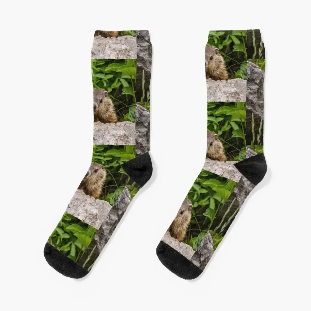

Groundhog Socks Toe sports valentine gift ideas gifts hockey Luxury Woman Socks Men's Wholesale gifts Running Girl'S Socks Men's
