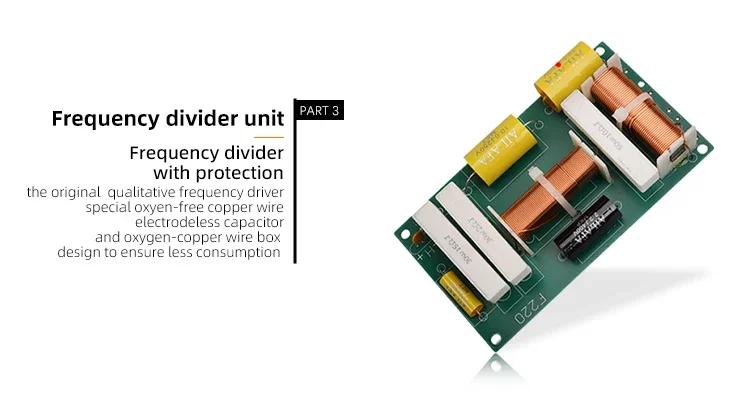 Dual 15-Inch Full Frequency Pro Audio Speakers