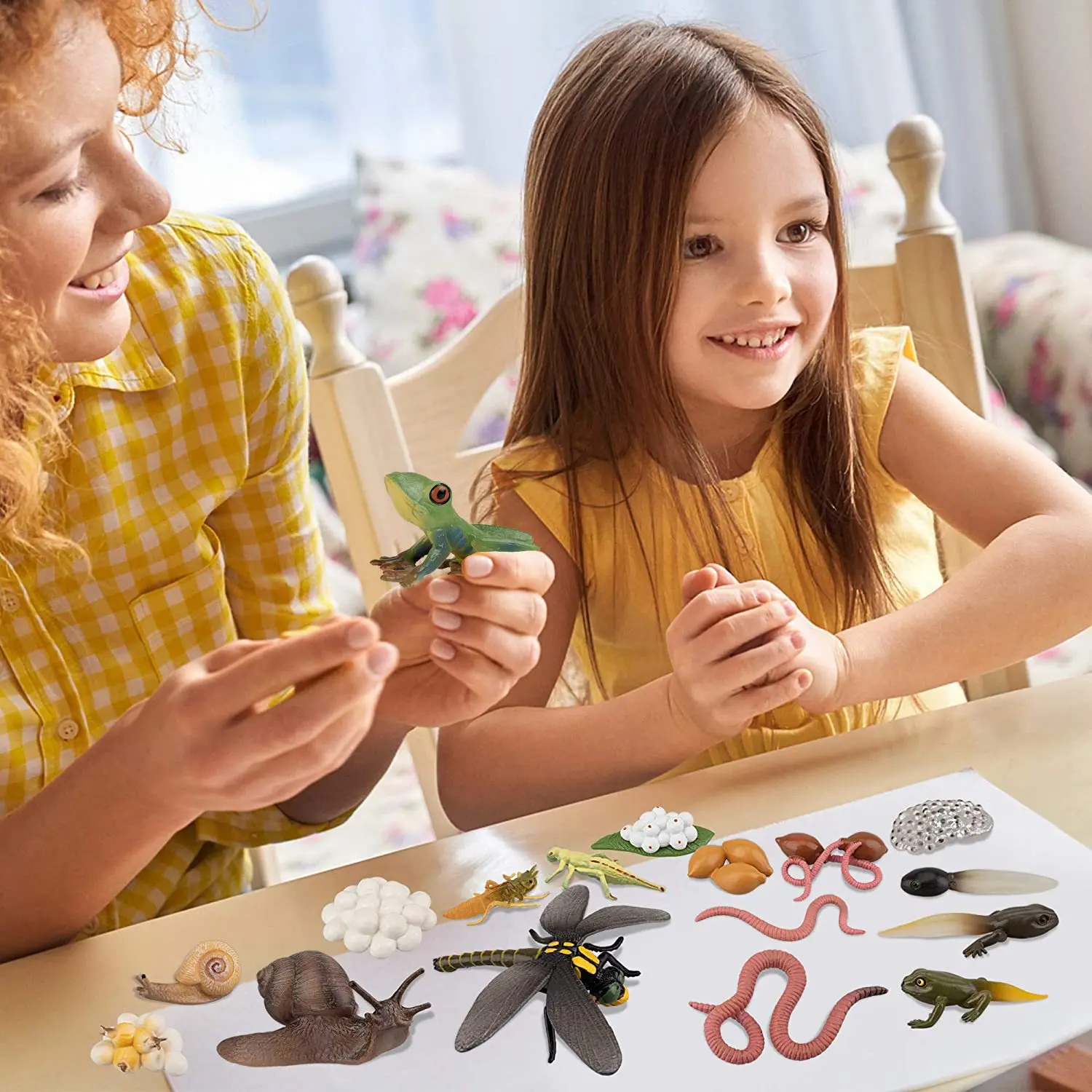 Life Cycle of Frog Snail Earthworm Dragonfly, Egg Tadpole to Frog Safariology Amphibian FigurinesToy Kit, School Project