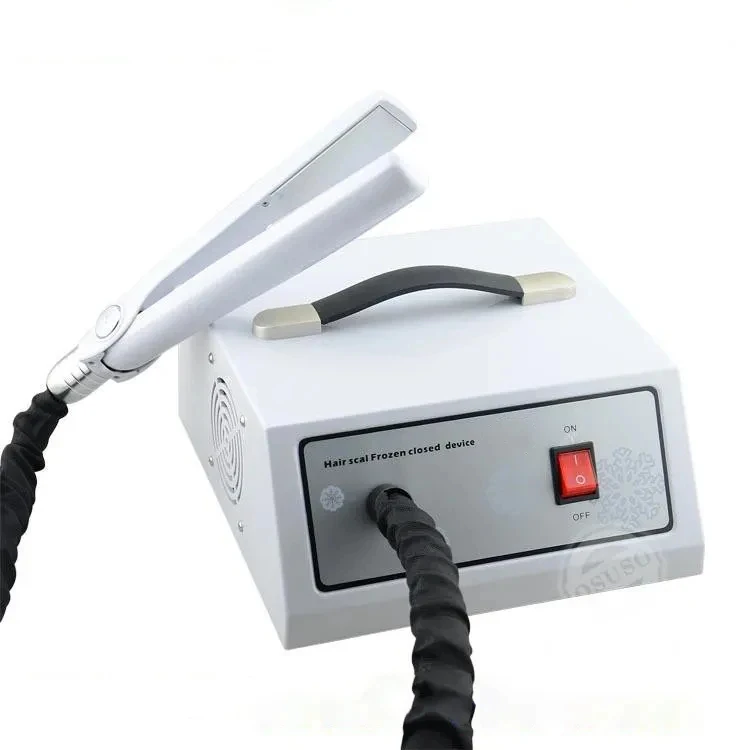 

Factory price Handheld Hair Ice Frozen Closed Device Iron Treatment Hairdressing Machine for Hair Care Salon Beauty Pro Spa
