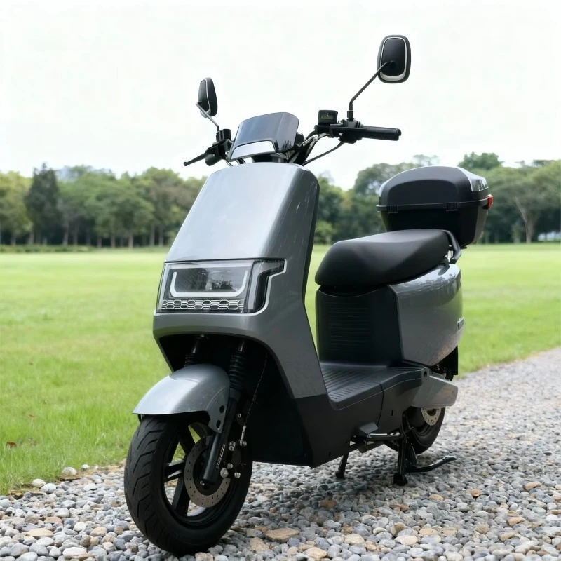 RRSMPLLO Electric Bicycle Dual Battery 150km Lithium Battery/lead-acid Battery 48/60/72V 32Ah 1500W Smart Display With USB Charg