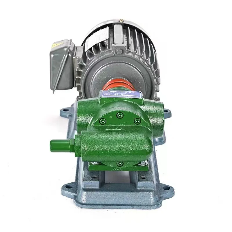 

Horizontal Horn Pump Set for Cold Heading Machine Nut Internal Gear Oil Pump Motor VNQPA10