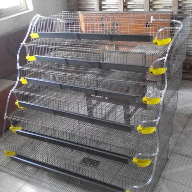 Chicken Farm Equipment Big Bird Pig Modular Pigeon Breeding Cage for Layer Chickens