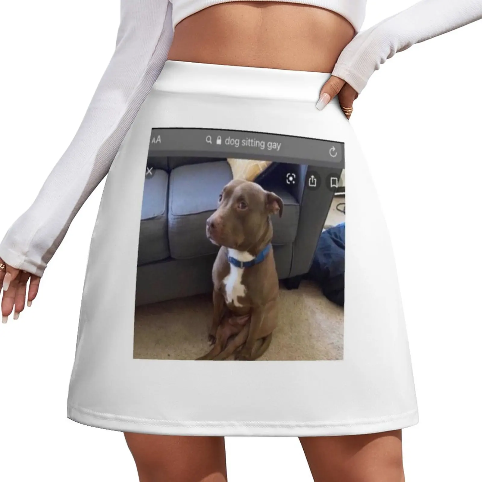 

dog sitting gay Mini Skirt fairy grunge luxury women skirts